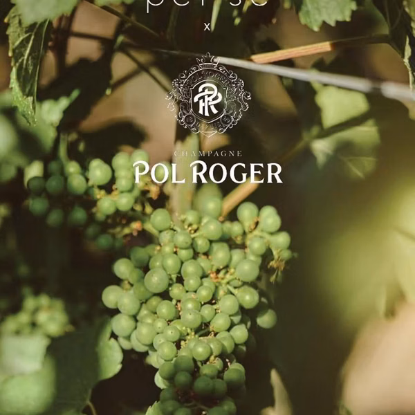 Official image for Per Se hosts An Evening with Pol Roger