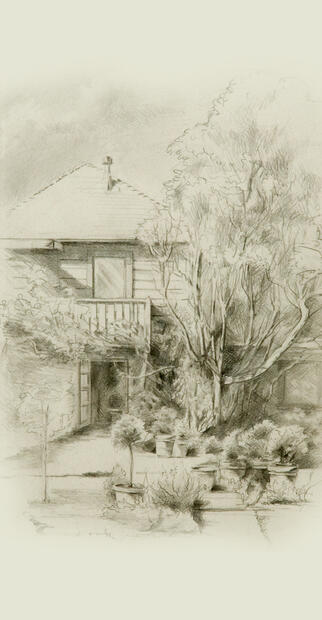The French Laundry Courtyard Drawing